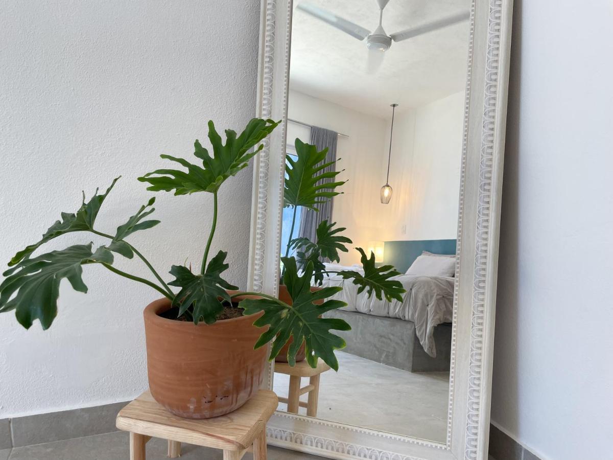 La Ventana Hostel Eksteriør billede